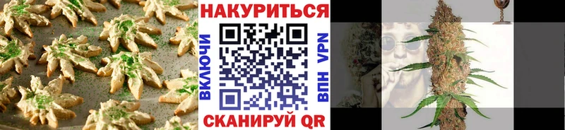 цена наркотик  Закаменск  Cannafood конопля 