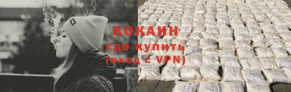 индика Балахна