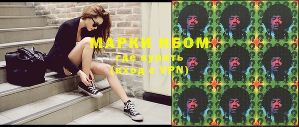 индика Балахна