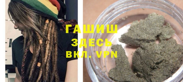 индика Балахна