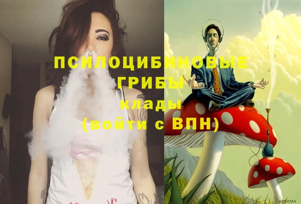 спайс Баксан