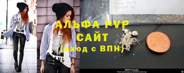 индика Балахна