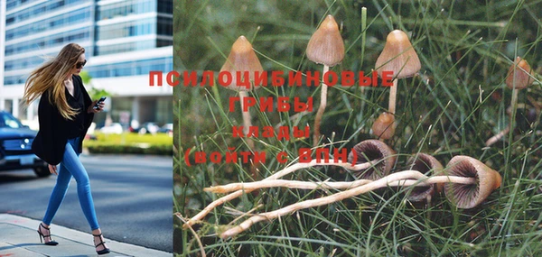 индика Балахна